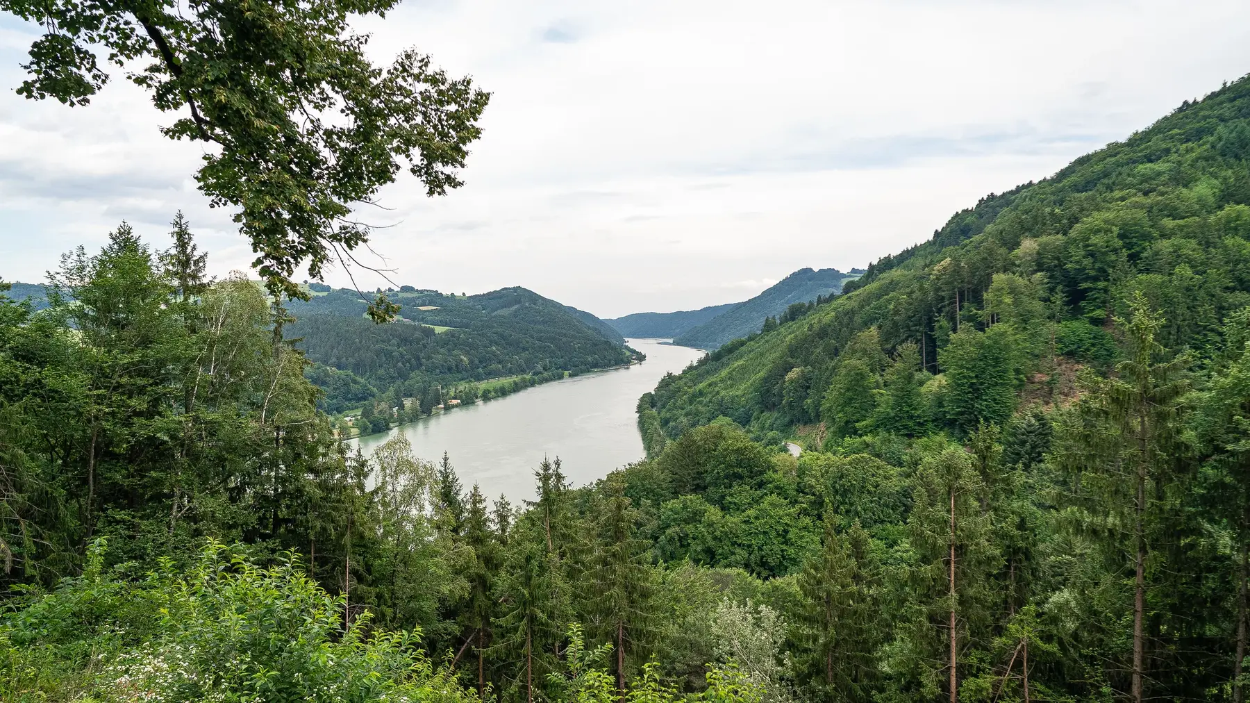Die Donau direkt unterhalb