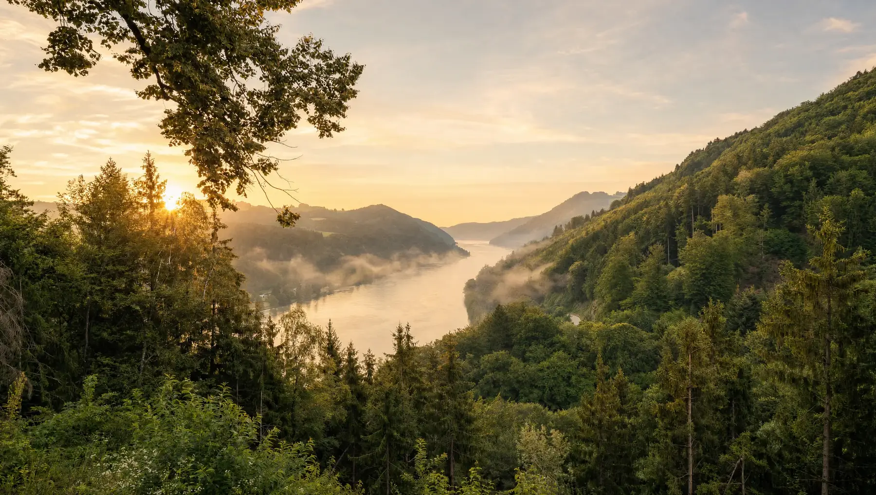 Donaupanorama in der Morgensonne