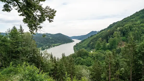 Blick ins Donautal mit Wald und Bergen